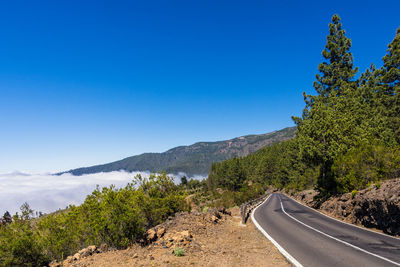 Road by trees against clear blue sky