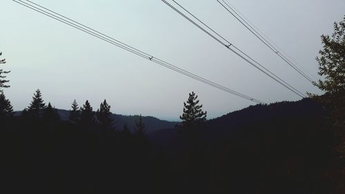 Silhouette of trees against clear sky