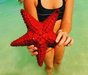 Midsection of woman holding starfish in sea