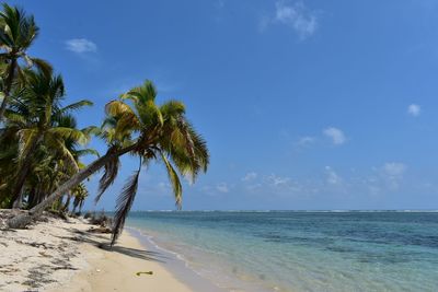 Scenic view of sea against blue sky