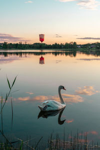 Summer evening peace