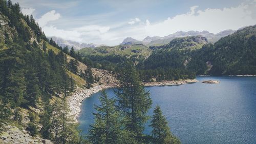 Scenic view of river amidst trees against sky