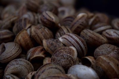 Full frame shot of onions