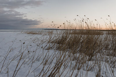 Scenic view of lake against sky during sunset