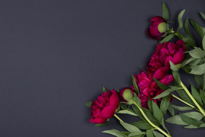 High angle view of rose bouquet
