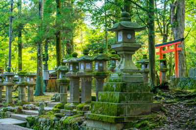 View of trees in a temple