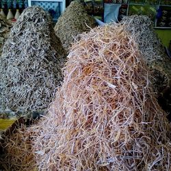 Hay bales on field