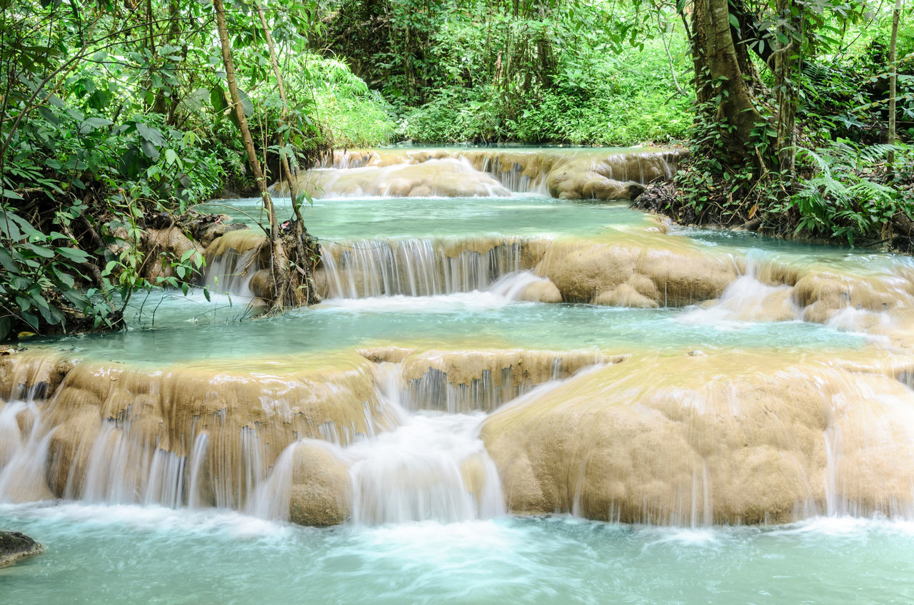 SCENIC VIEW OF WATERFALL