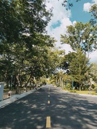 Empty road along trees and plants in city