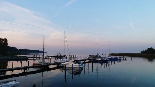 Sailboats moored in harbor at sunset