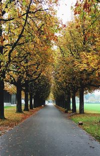 Road amidst trees during autumn