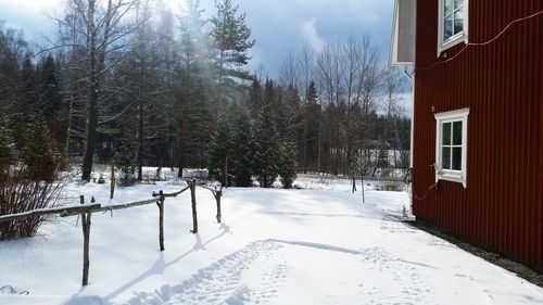 Snow covered houses and trees against sky