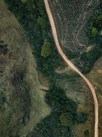 High angle view of road amidst trees in forest