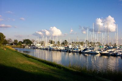 Boats in harbor