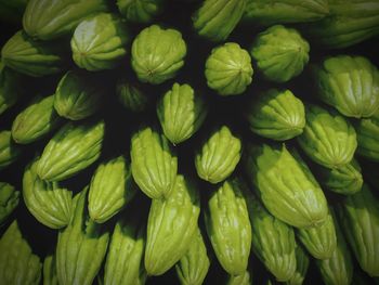 Full frame shot of green chili peppers