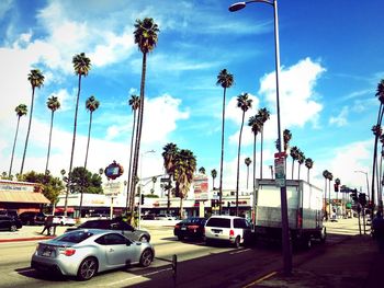 Cars on palm trees against sky