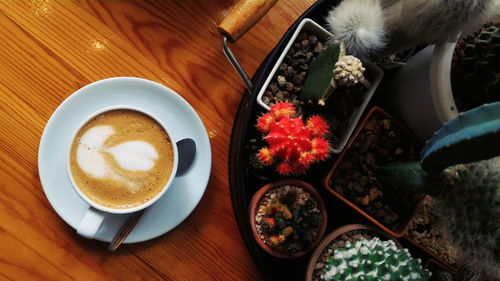 High angle view of cappuccino served on table with cactus