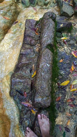 High angle view of human hand on rock