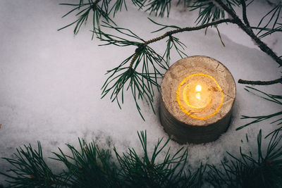 Close-up of illuminated christmas tree against sky