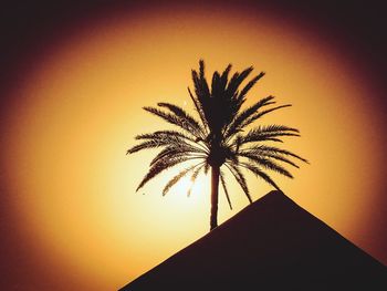 Low angle view of silhouette palm trees against sky at sunset