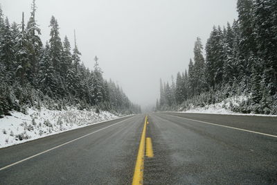 Empty road along trees