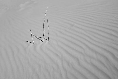 High angle view of sand on beach