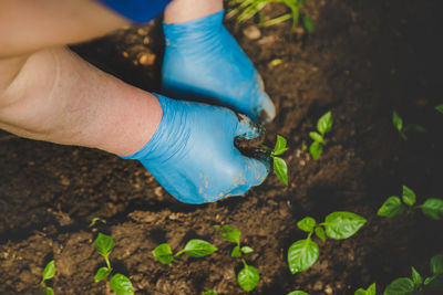 Low section of person planting