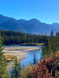 wilderness
