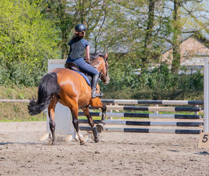 Horse riding horses