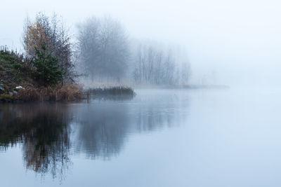 Reflection of trees in lake against sky