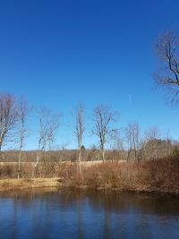 Reflection of trees in water against clear blue sky