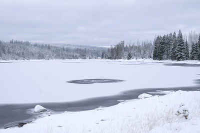 Scenic view of frozen lake by trees during winter