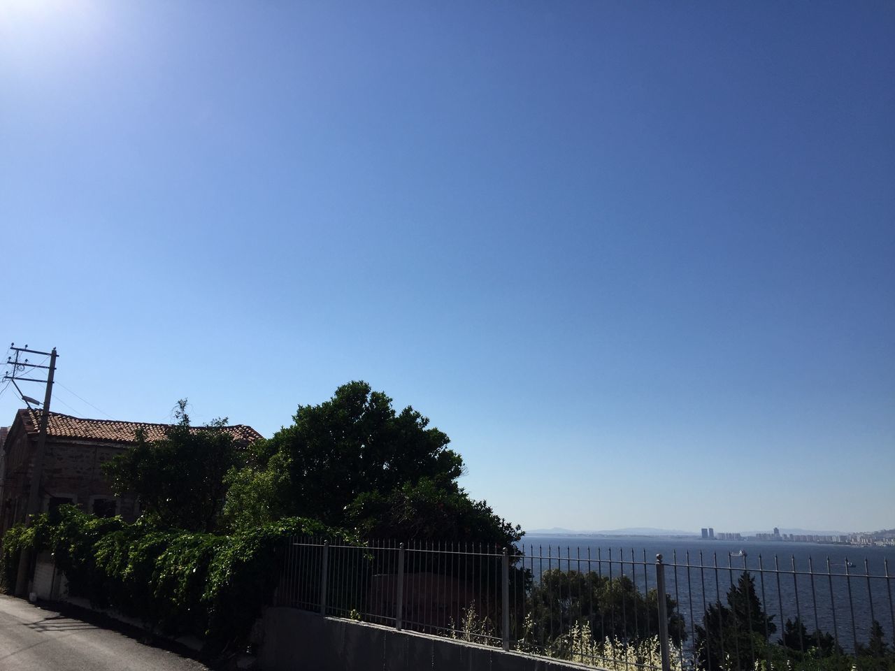 TREES AND PLANTS AGAINST BLUE SKY