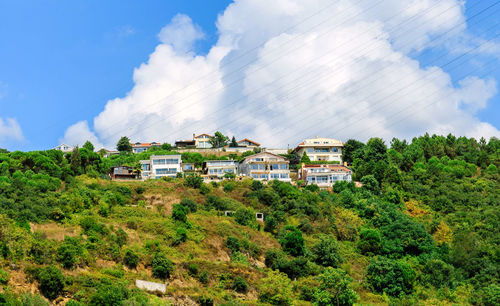 Houses by trees against sky