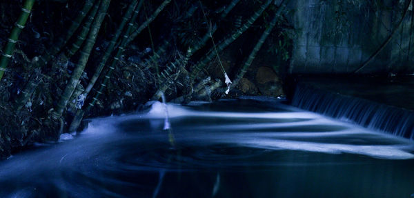 Close-up of water flowing over trees