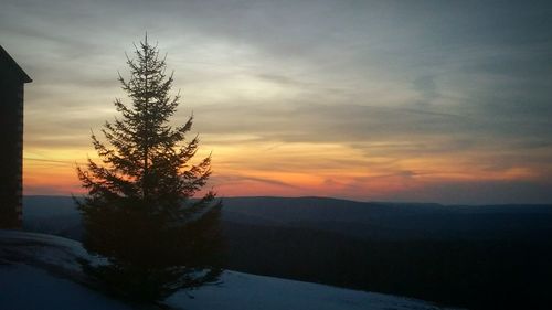 Silhouette tree on mountain against sky during sunset