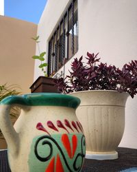 Close-up of potted plant on table against wall of house