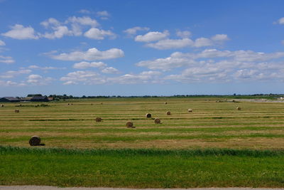 Scenic view of farm field against sky