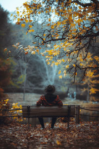 Rear view of woman sitting on bench in park