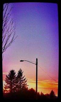 Silhouette of trees at sunset