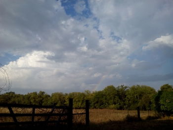 Trees on field against cloudy sky