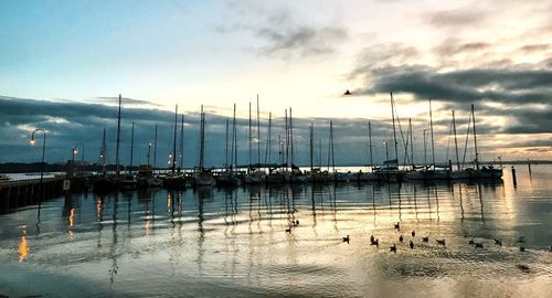 Sailboats moored in harbor at sunset