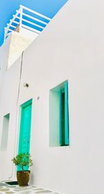 Low angle view of potted plant against building