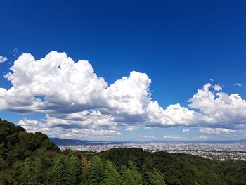 sky