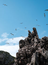 Low angle view of birds flying against blue sky