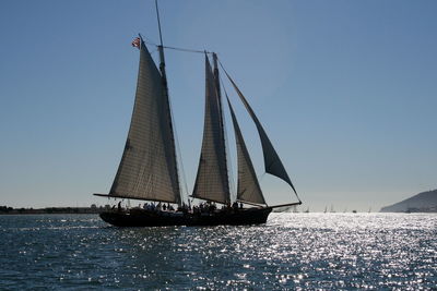 Sailboat sailing on sea against clear sky