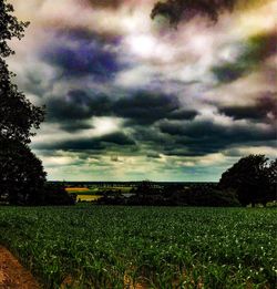 Scenic view of field against cloudy sky