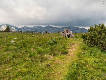 Scenic view of field against sky