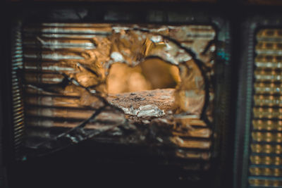 Close-up of old glass window