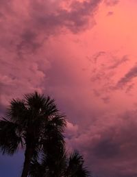 Low angle view of silhouette palm tree against sunset sky